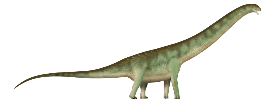 Argentinosaurus huinculensis