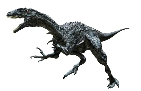 Australovenator wintonensis
