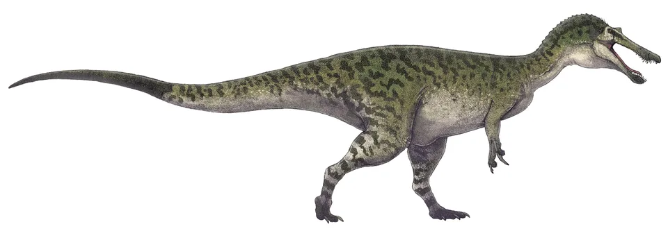 Baryonyx walkeri