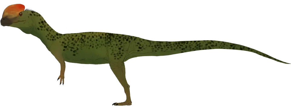 Dilophosaurus wetherilli