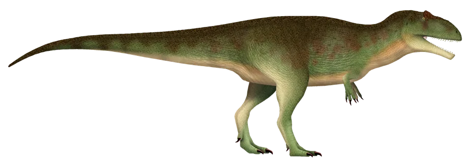 Giganotosaurus carolinii