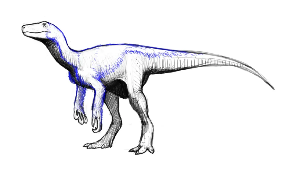 Herrerasaurus ischigualastensis