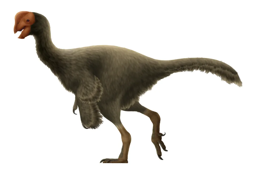 Oviraptor
