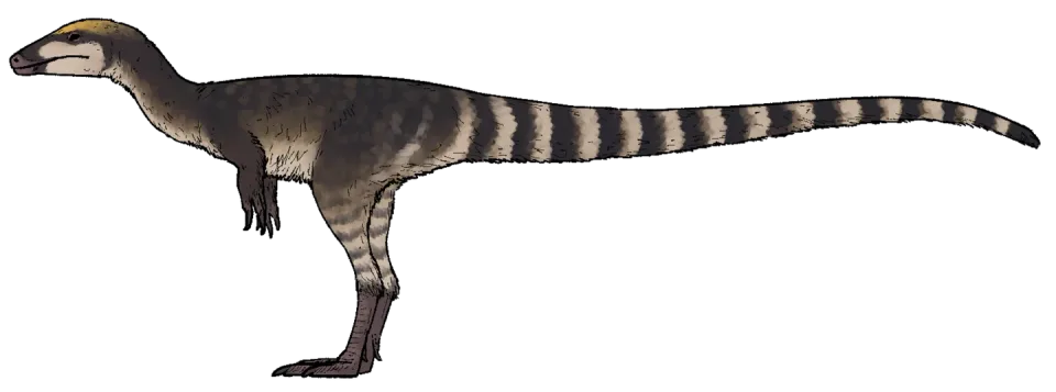 Sinosauropteryx prima