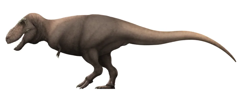 Tarbosaurus bataar