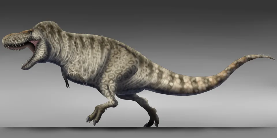 Tyrannosaurus rex
